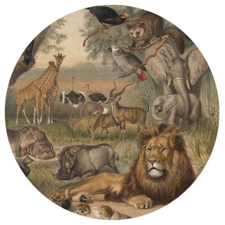 WallArt Carta da Parati Circolare Animals of Africa 142,5 cm
