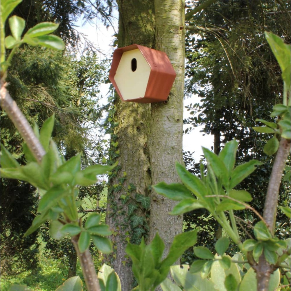 Capi Casetta per Uccelli Hive 2 19x23x20 cm Foro Ovale Marrone
