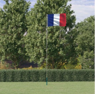 vidaXL Asta e Bandiera Francia 5,55 m Alluminio