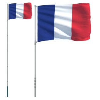 vidaXL Asta e Bandiera Francia 5,55 m Alluminio